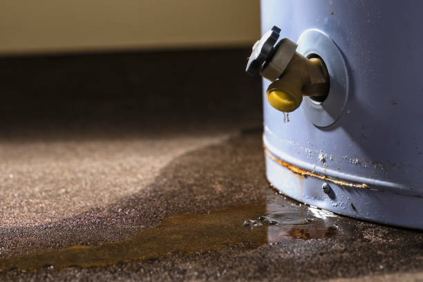 Best Mold removal after water damage  in St Elmo, IL