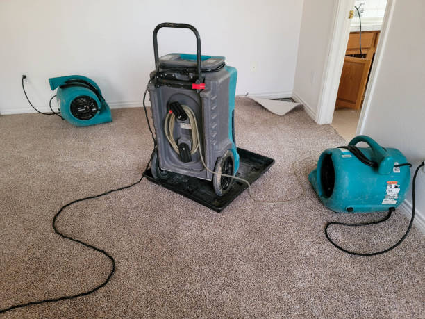 Best 24-hour water damage restoration  in St Elmo, IL