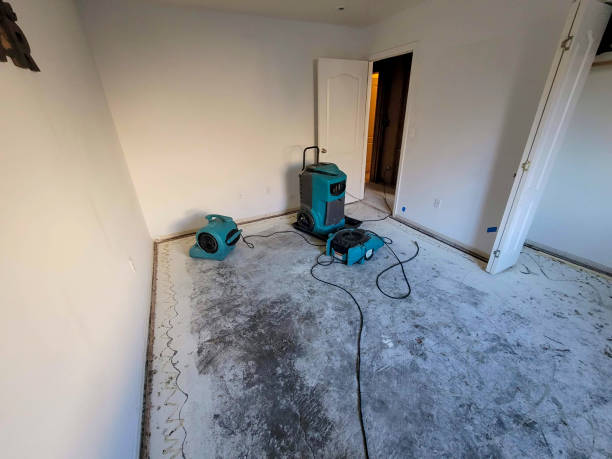 Professional Water damage restoration in St Elmo, IL
