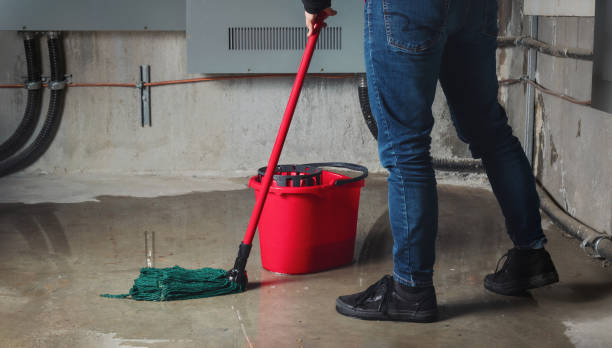 Best Basement water damage restoration  in St Elmo, IL