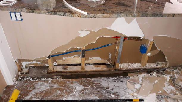Best Fire Damage Restoration  in St Elmo, IL