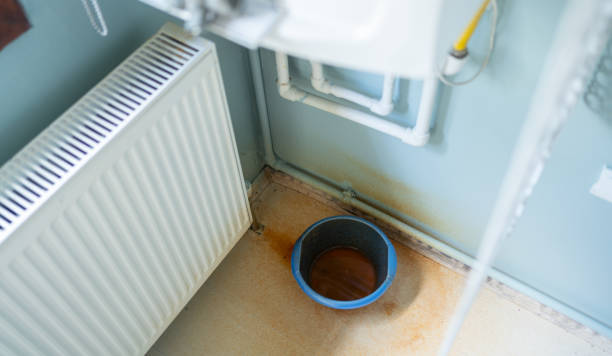 Best Emergency water damage restoration  in St Elmo, IL