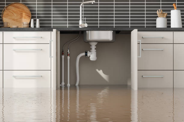 St Elmo, IL Water damage restoration Company