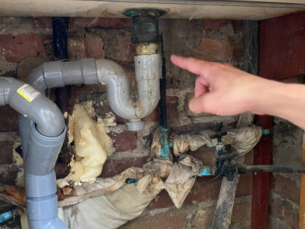 Best Water damage cleanup near me  in St Elmo, IL