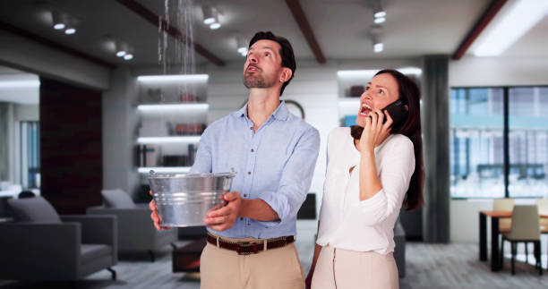 Best 24-hour water damage restoration  in St Elmo, IL
