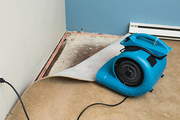 Best 24/7 water damage repair  in St Elmo, IL