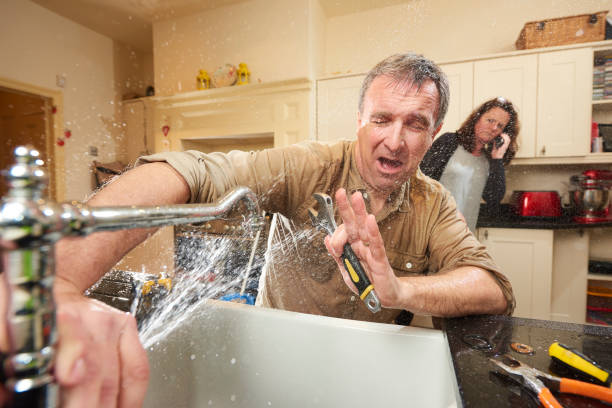 Best Carpet water damage restoration  in St Elmo, IL